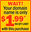 WAIT! Your domain name is only $1.99* with this purchase!
