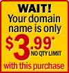WAIT! Your domain name is only $3.99* with this purchase!