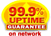 Ninety-nine percent uptime guarantee on network!
